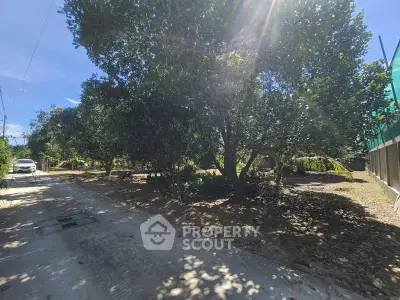 Spacious garden area with lush trees and clear pathway, perfect for outdoor activities.