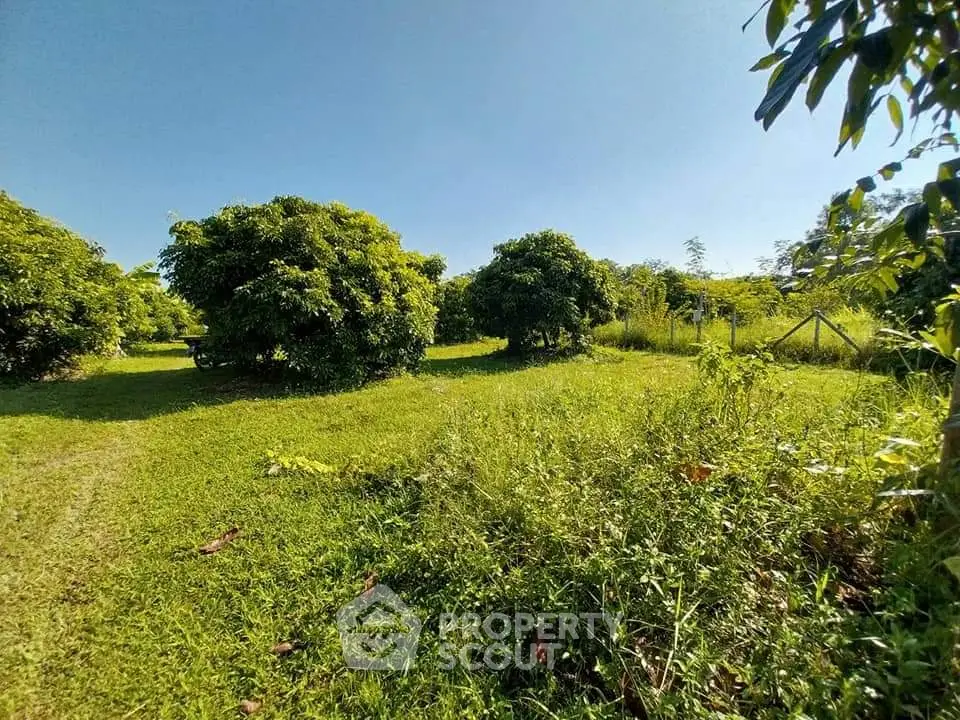 Lush green garden with fruit trees under a clear blue sky, perfect for serene outdoor living.