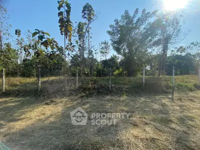 Spacious land plot with lush greenery and mature trees, perfect for development or investment.