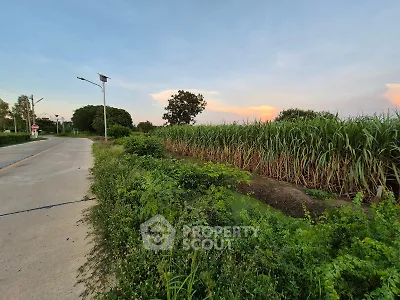 Scenic rural landscape with lush greenery and open road at sunset, perfect for serene living.