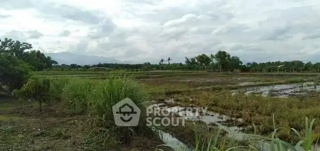 Expansive agricultural land with lush greenery and scenic views, perfect for farming or development.
