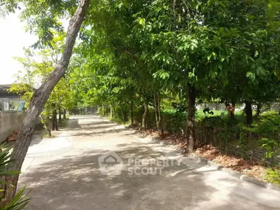 Serene garden pathway with lush greenery and natural shade