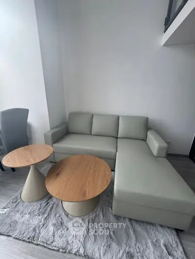 Modern living room with sleek sectional sofa and stylish round coffee tables on a plush rug.