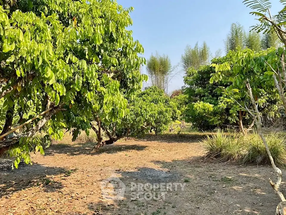 Lush garden area with vibrant greenery and clear blue sky, perfect for outdoor relaxation and nature lovers.