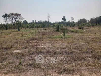 Expansive vacant land with lush greenery, perfect for development opportunities.