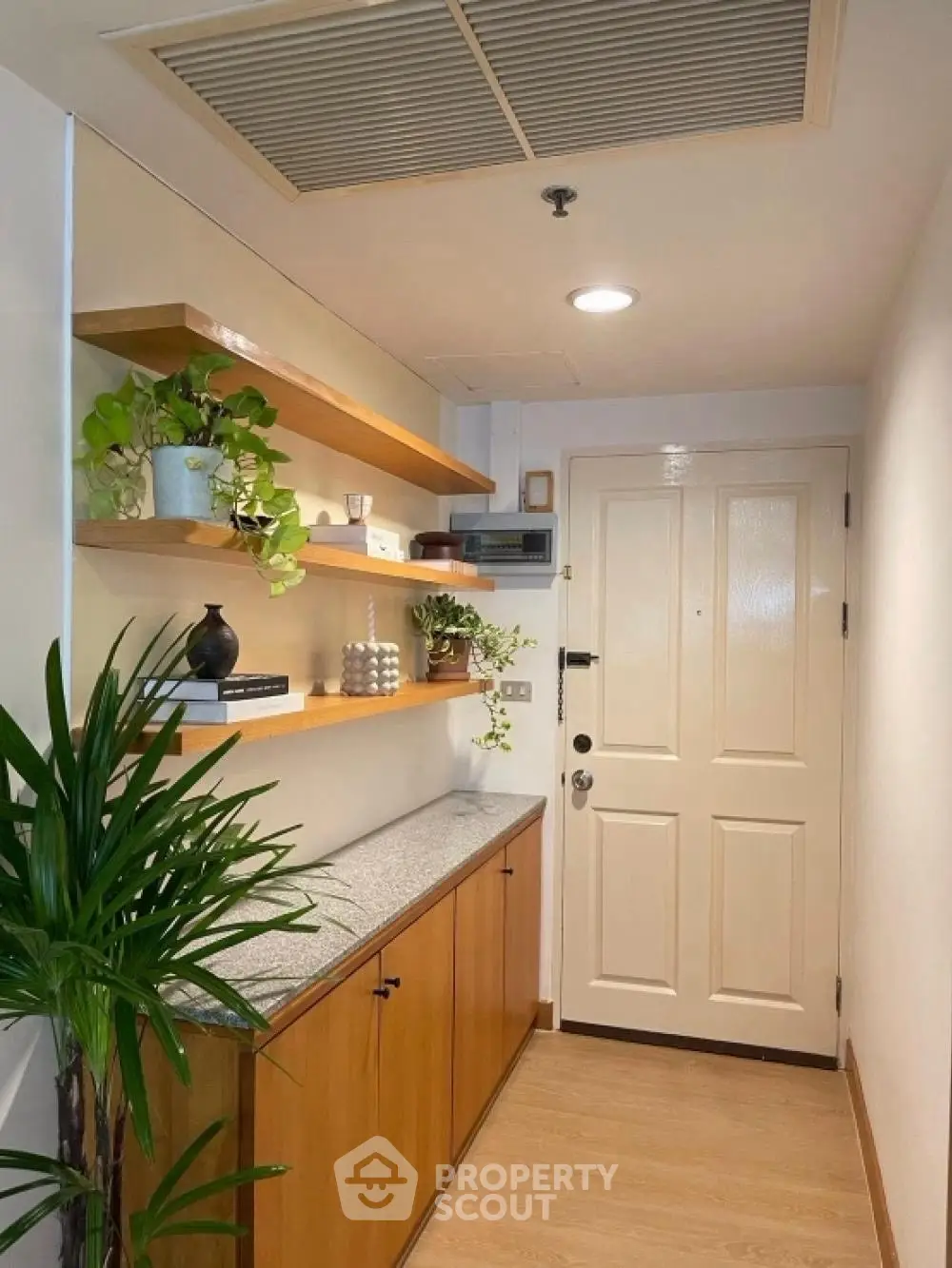 Stylish entryway with wooden cabinets and modern decor plants