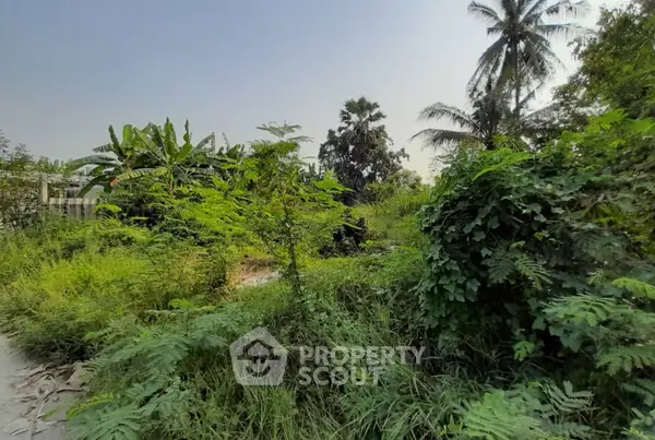 image_rental-20229489