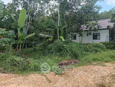 Charming rural house surrounded by lush greenery and tropical plants, perfect for nature lovers seeking tranquility.