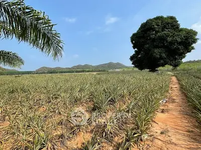 image_rental-27237428