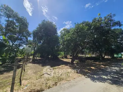 Spacious outdoor garden area with lush trees and clear blue sky, perfect for serene living.