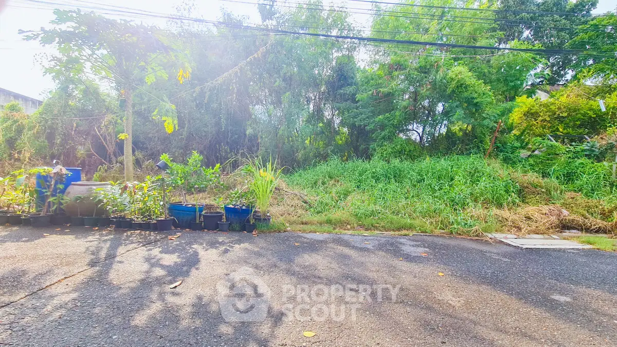 Vacant land plot with lush greenery, ideal for development or landscaping projects.