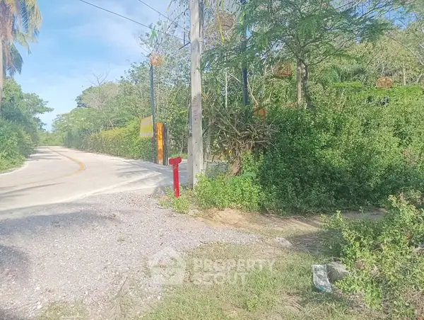 image_rental-15187087