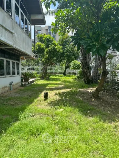 Spacious garden area with lush greenery and mature trees in a residential property.
