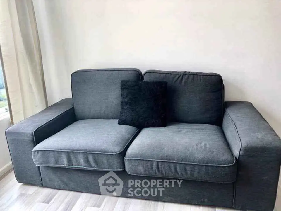 Modern gray sofa in a stylish living room with natural light and minimalist decor.