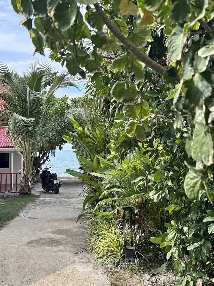 Tropical pathway leading to a serene waterfront view, surrounded by lush greenery and a charming building.