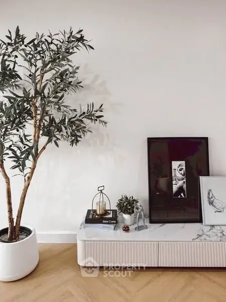 Stylish modern living room with elegant decor and indoor plant