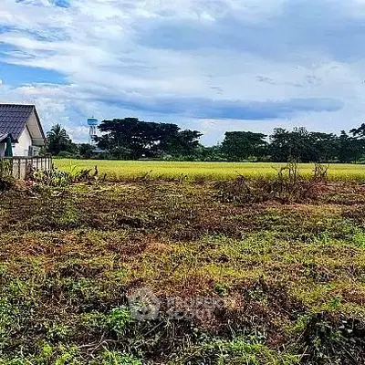 Expansive rural land with potential for development, featuring lush greenery and a clear sky, perfect for a custom dream home.