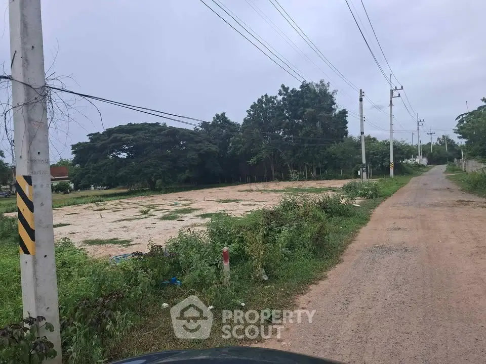 Spacious vacant land plot with lush greenery, ideal for development in a serene neighborhood.
