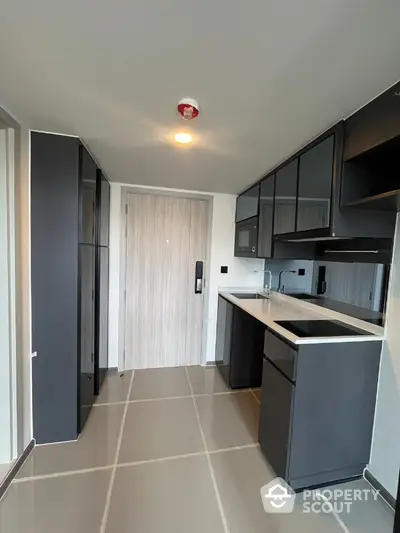 Modern kitchen with sleek black cabinetry and minimalist design