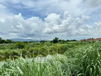 image_rental-29755087