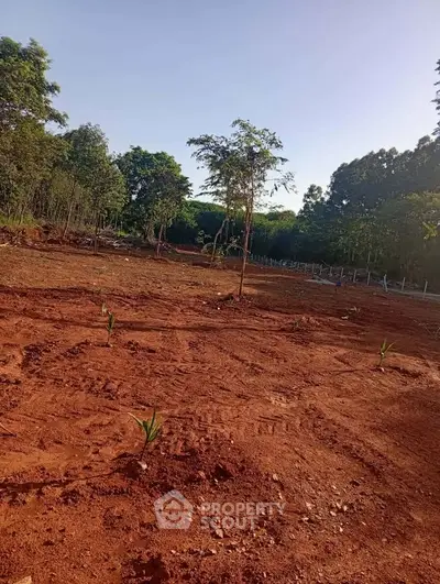 Expansive plot of land with young trees, perfect for development or agriculture, surrounded by lush greenery.