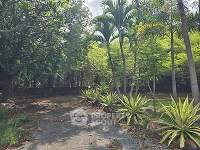 Lush garden area with tropical trees and plants, perfect for serene outdoor living.