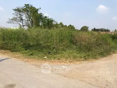 image_rental-26940679