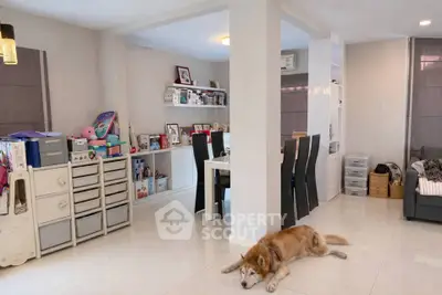Spacious living room with modern decor and a cozy atmosphere, featuring a relaxed dog on the floor.