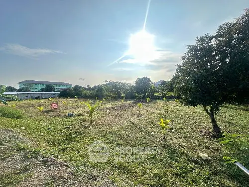 image_rental-28282072