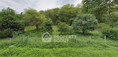 image_rental-21827304