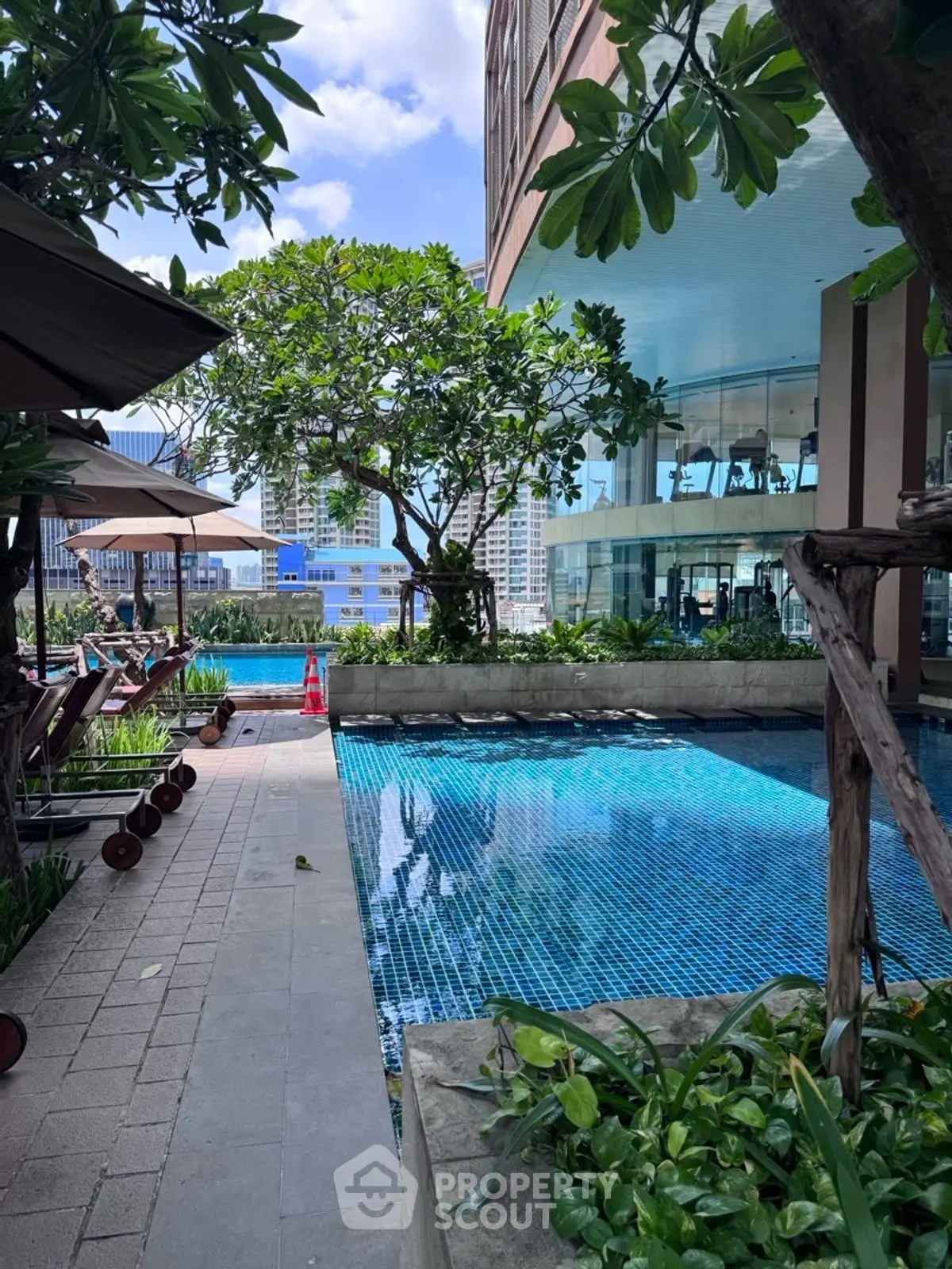 Luxurious rooftop pool with lush greenery and city views