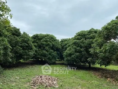 Lush green garden with mature trees under a cloudy sky, perfect for serene outdoor living.