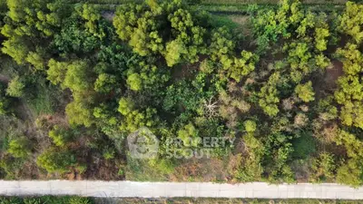 Aerial view of lush greenery and pathway, ideal for real estate development.