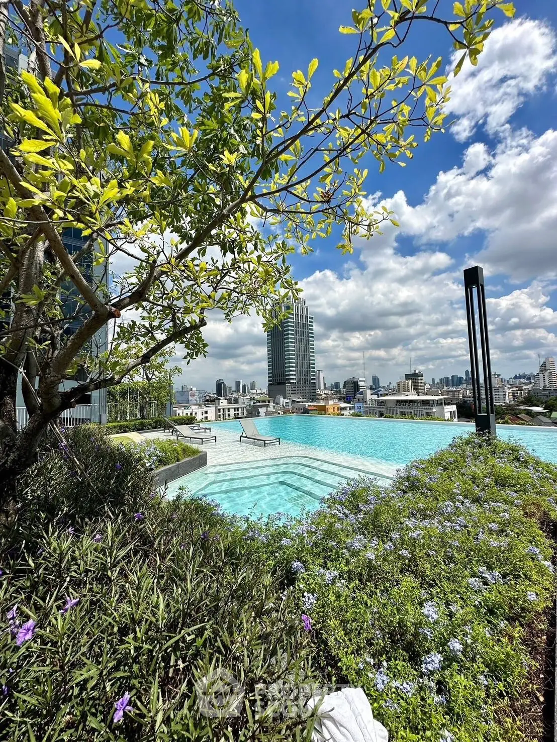 Luxurious rooftop pool with stunning city skyline views and lush greenery.