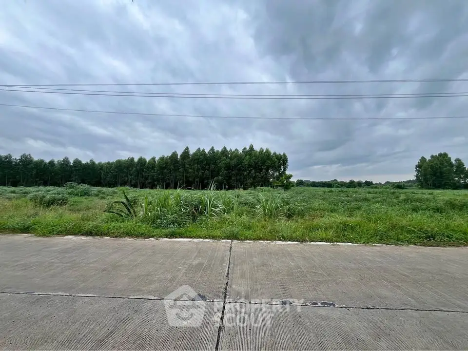 Expansive green land under cloudy sky, ideal for development or agriculture.