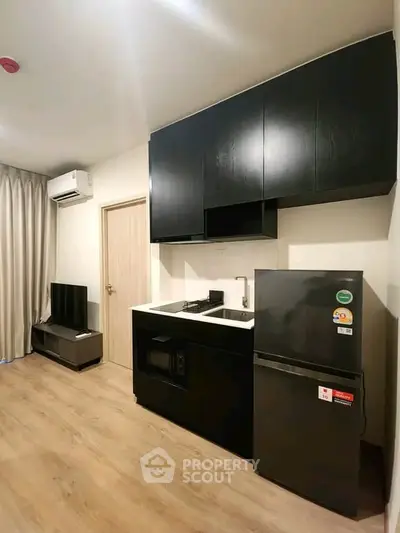 Modern compact kitchen with sleek black cabinets and appliances in a cozy apartment setting.
