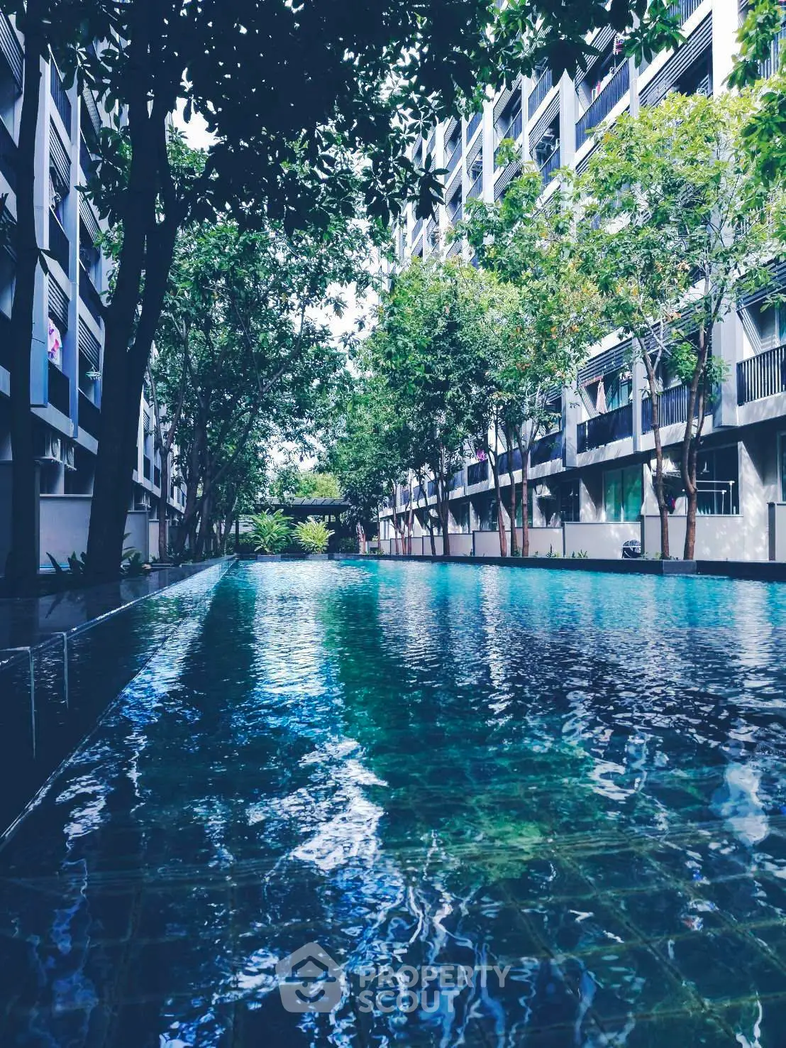 Luxurious residential pool surrounded by modern architecture and lush greenery.