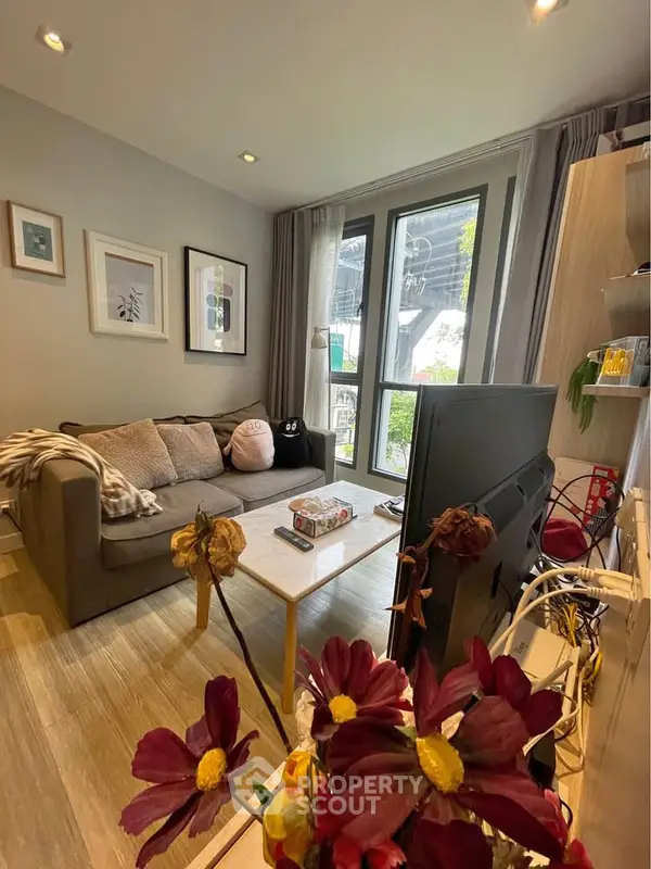 image_rental-29243127