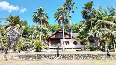 Charming tropical villa with lush palm trees and spacious garden