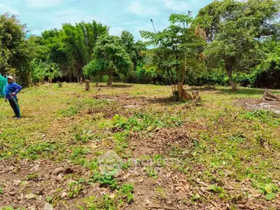 Spacious land plot with lush greenery, ideal for development or agriculture, offering serene natural surroundings.