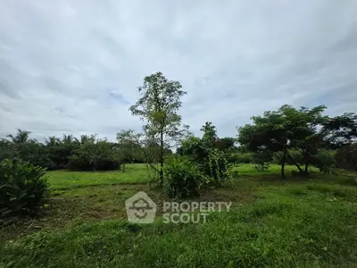 Expansive green landscape with lush trees under a cloudy sky, perfect for development.