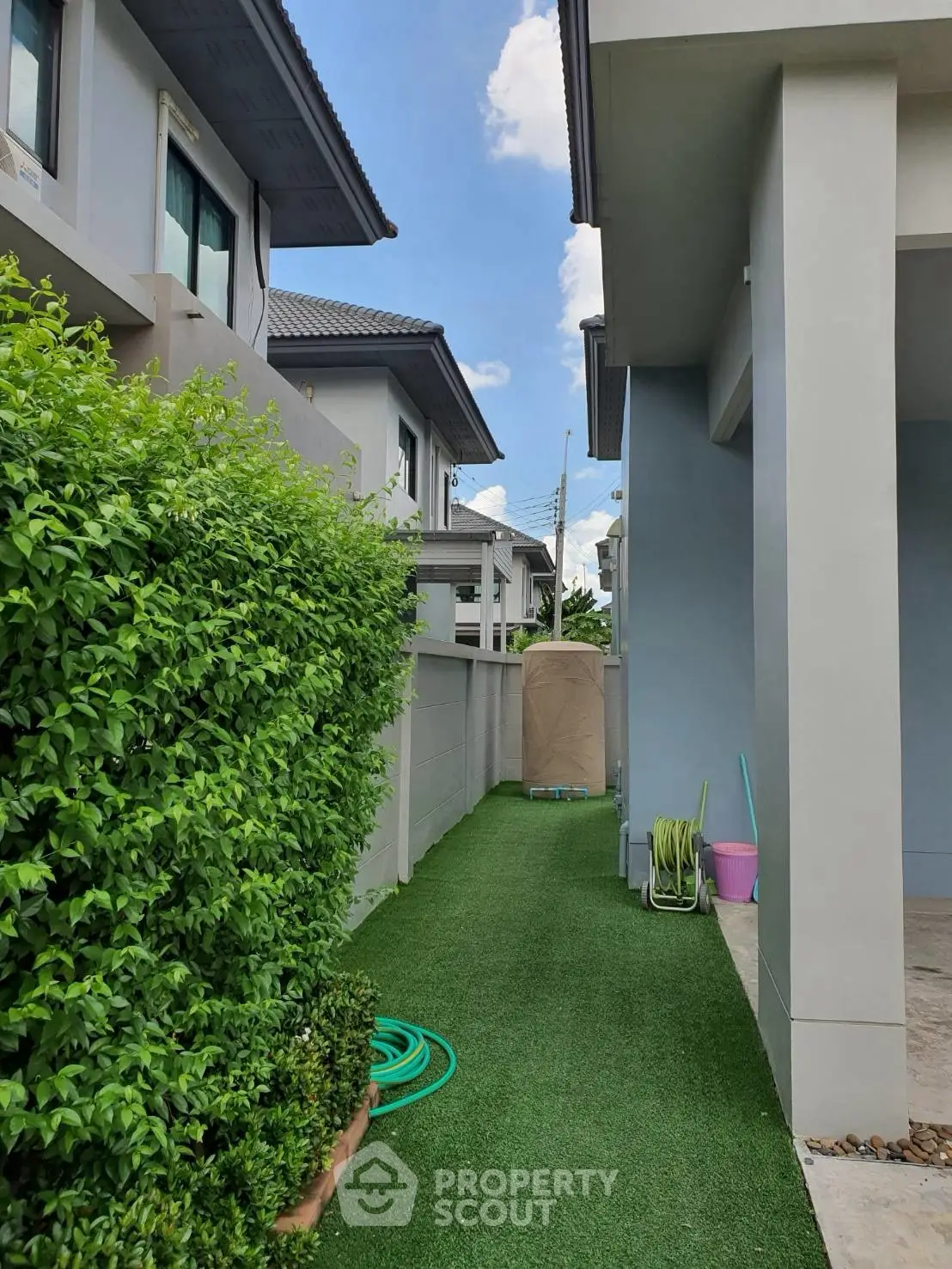 Charming side garden with lush greenery and modern architecture