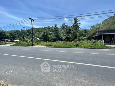 Scenic roadside view with lush greenery and tropical palm trees under a clear blue sky.