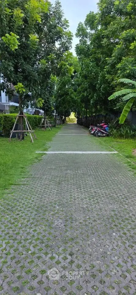 Serene green pathway lined with lush trees in a residential area, perfect for a peaceful stroll.