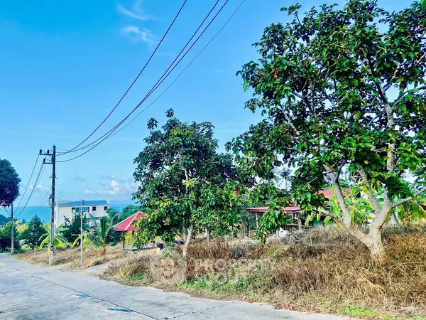 image_rental-29623833