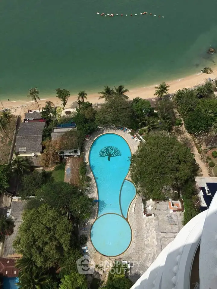 Stunning aerial view of a luxurious beachfront pool surrounded by lush greenery, perfect for relaxation and leisure.