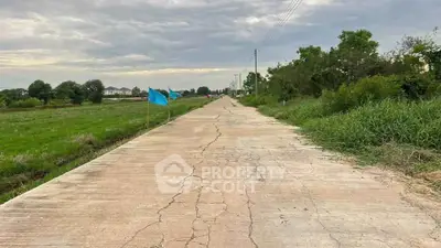 Expansive rural road with lush greenery and open skies, ideal for development opportunities.