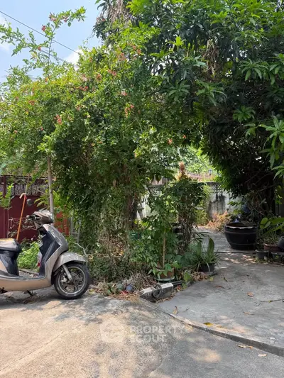 Charming garden entrance with lush greenery and scooter parked on the driveway.