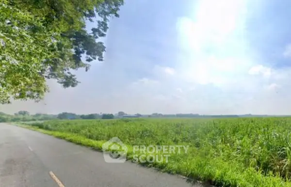 image_rental-28553827