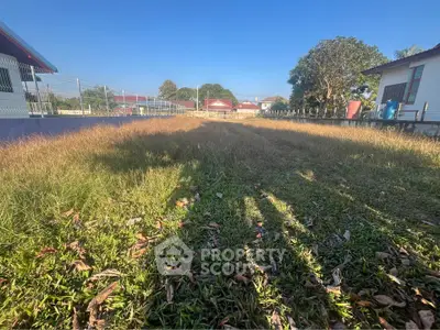 Spacious backyard with lush grass and clear blue sky, perfect for outdoor activities and relaxation.